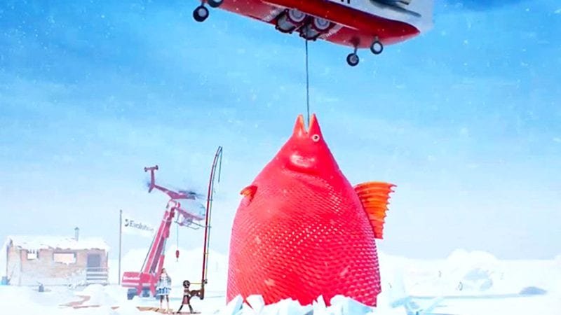 Ice Fishing Live w akcji - jak to wygląda w praktyce